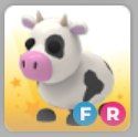 FR Cow