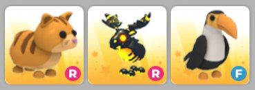 FR Bundle