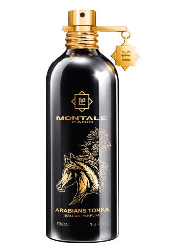 Inspired by Montale Arabians Tonka