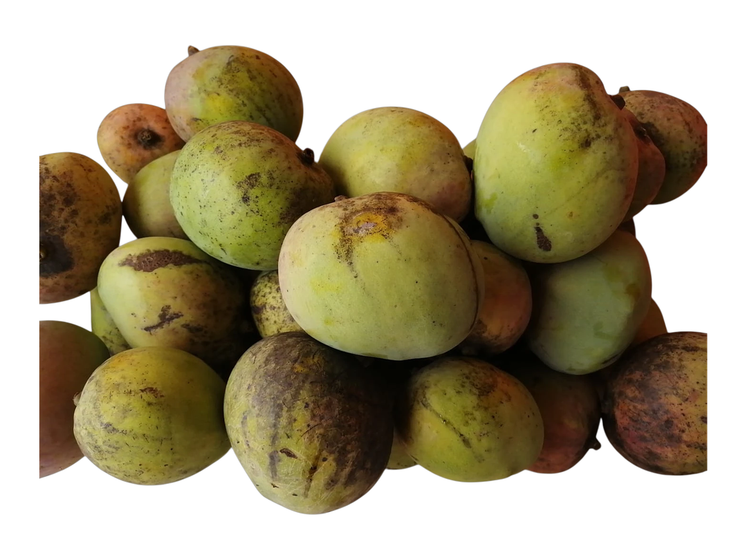 Mango 3 pcs / Mango 3 und