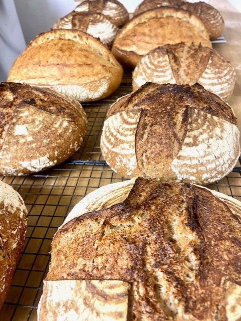Donker Tarwebrood