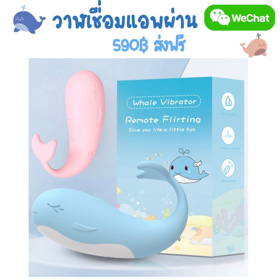 วาฬWechat ไข่สั่นวาฬเชื่อมแอพ