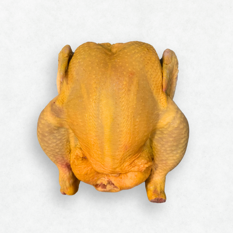 PECHUGA DE POLLO   