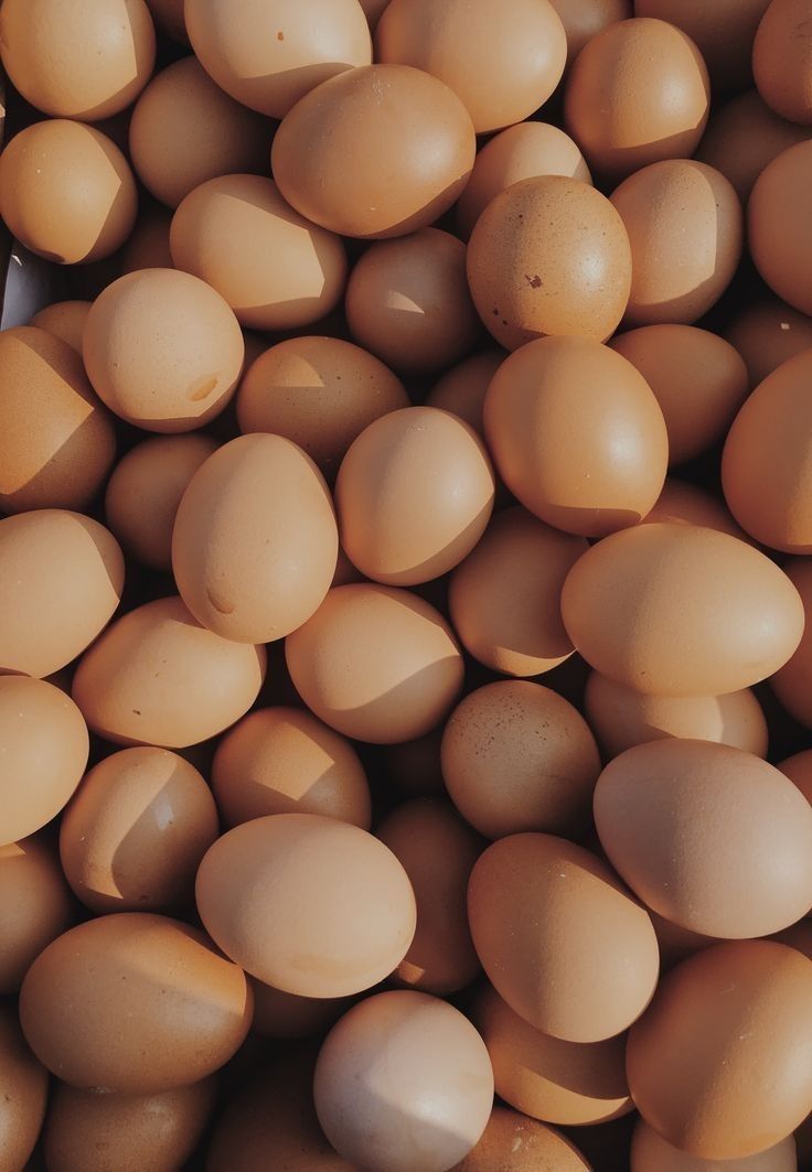 Fresh farm eggs