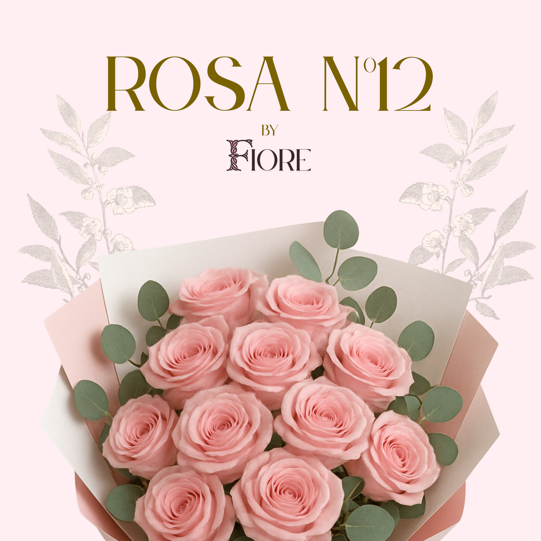 Rosa Nº12
