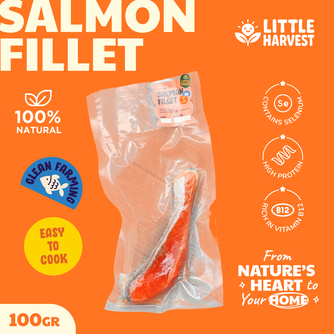 salmon fillet 100gr