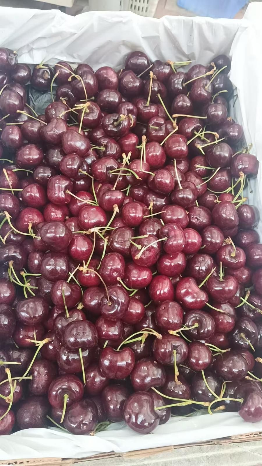 USA Cherry 1kg