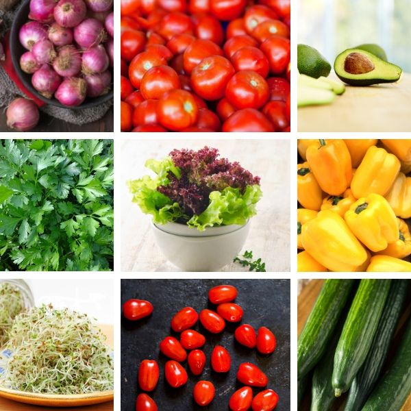 Salad Mix Combo