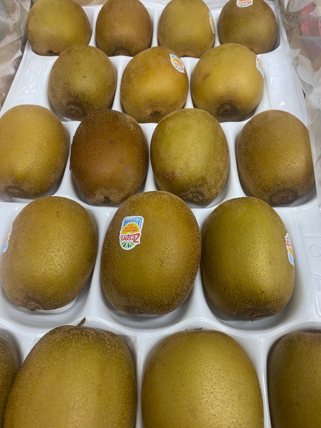 NZ Zespri Jumbo Kiwi