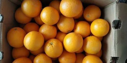 Orange imported /kg
