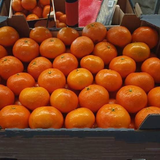 Mandarine importe /kg