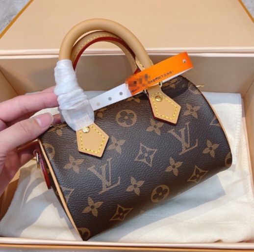 LV Luggage 