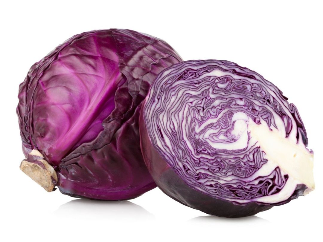 REPOLLO MORADO 
