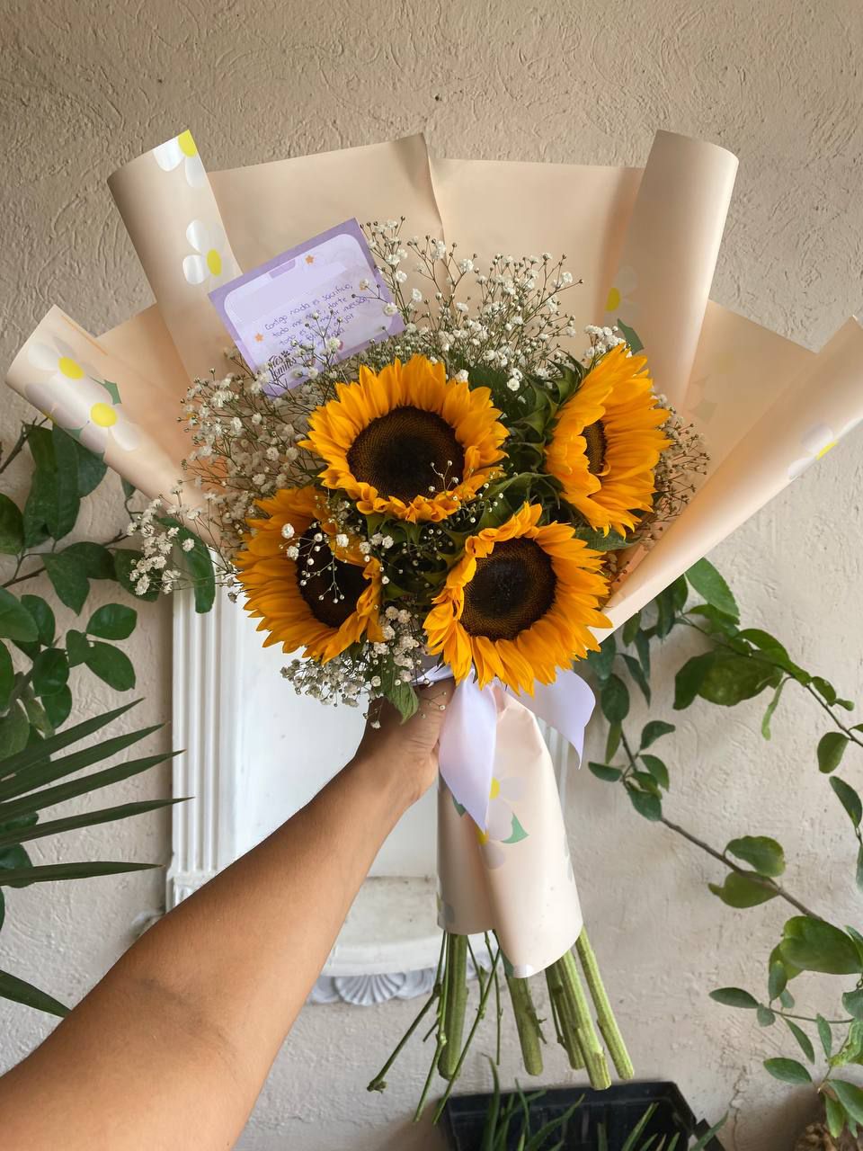 5 Girasoles en las nubes