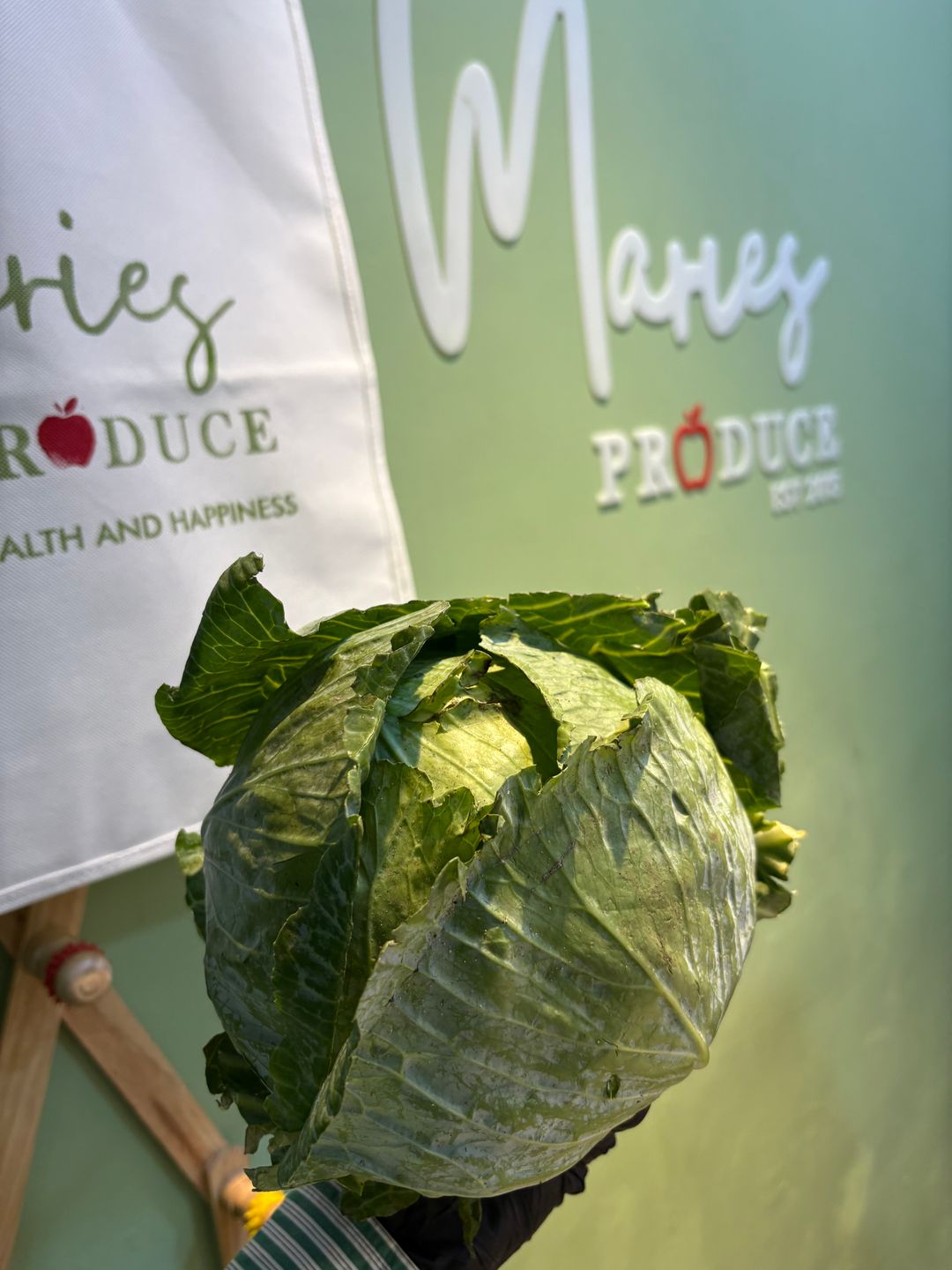 Cabbage white 1pc