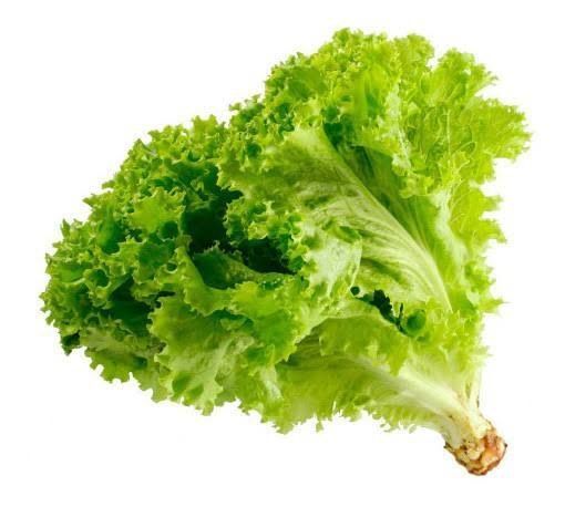 Lettuce 