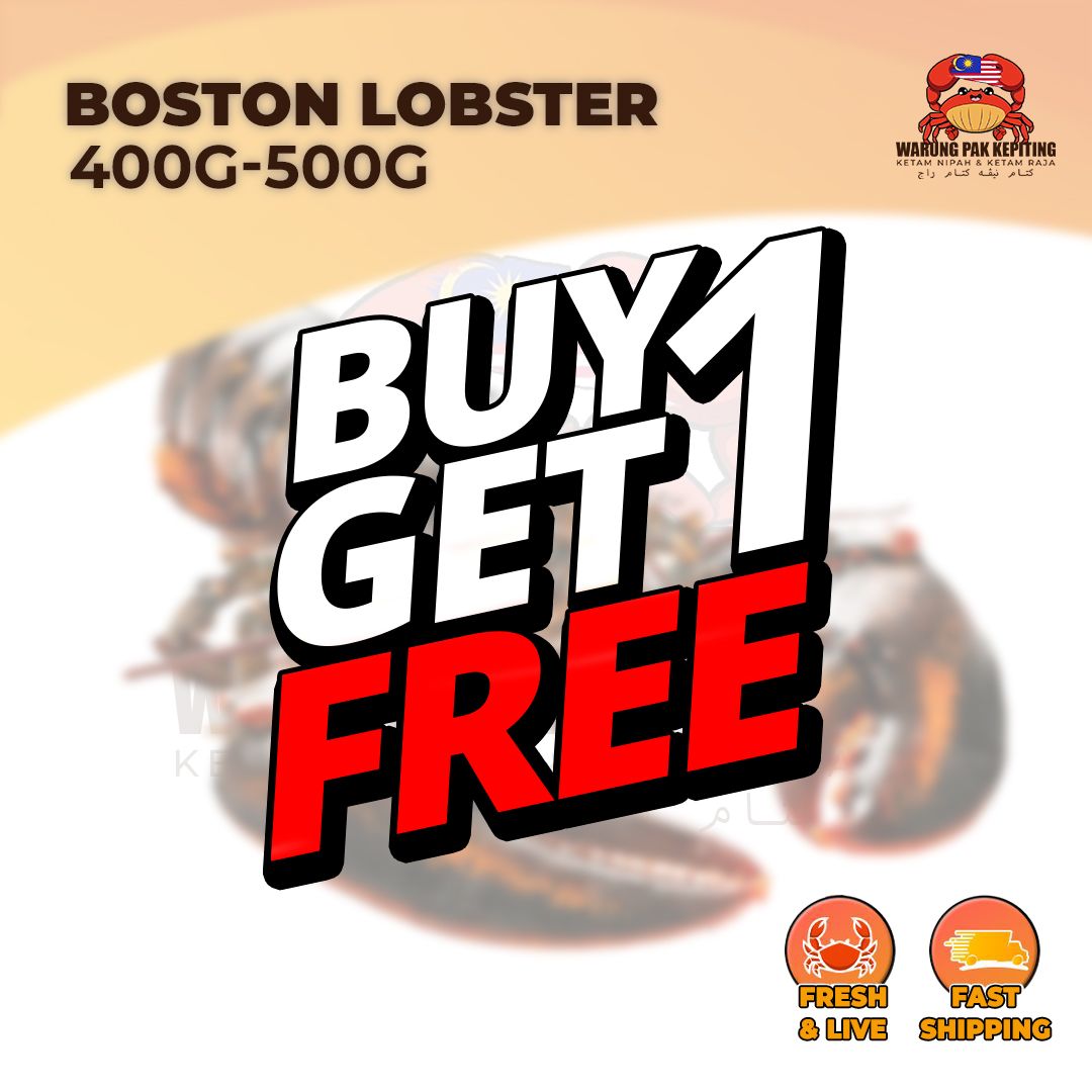 【Buy1Free1】Boston Lobster 400g-500g | PWP Ketam Nipah