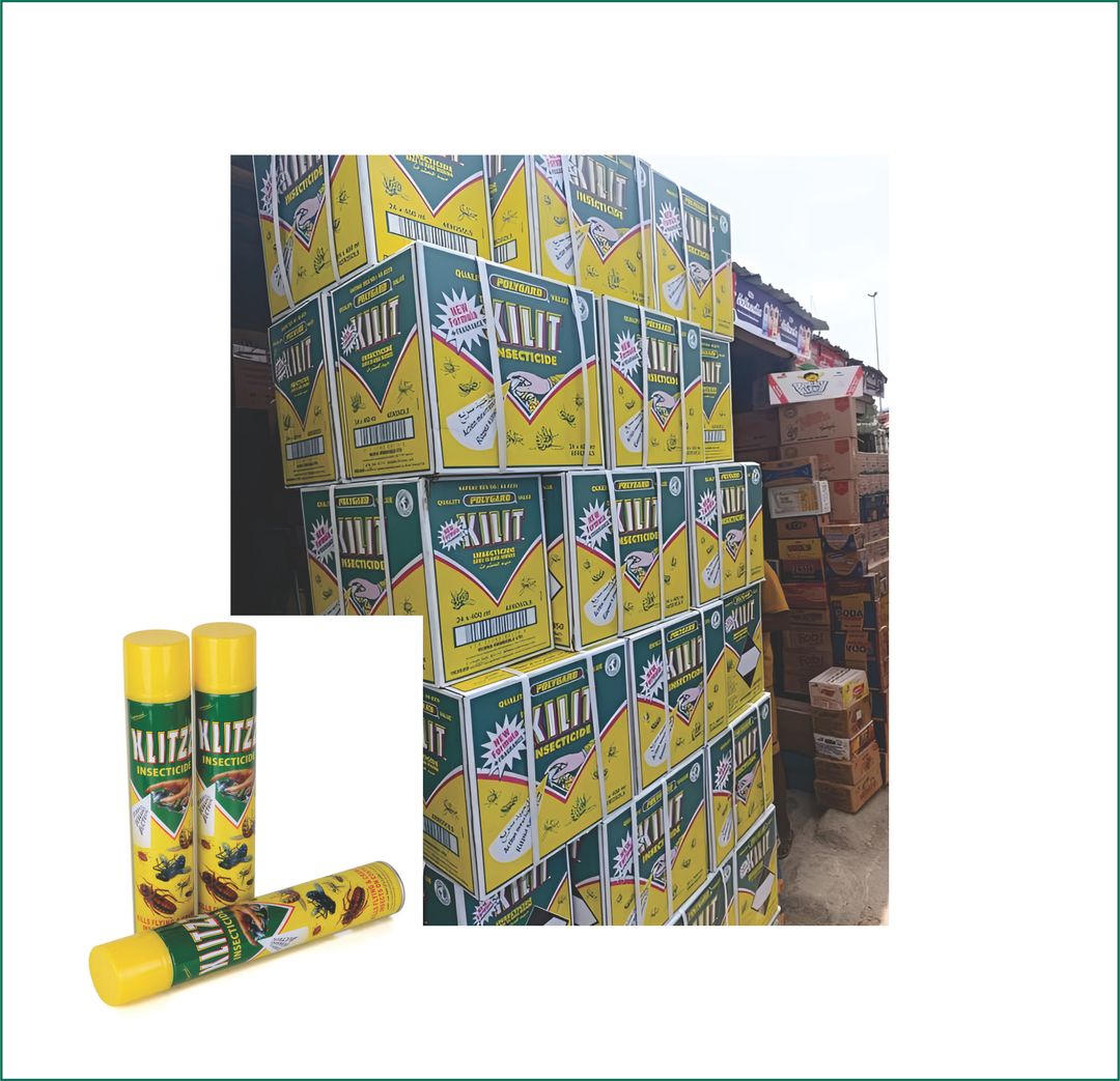 INSECTICIDE SPRAY