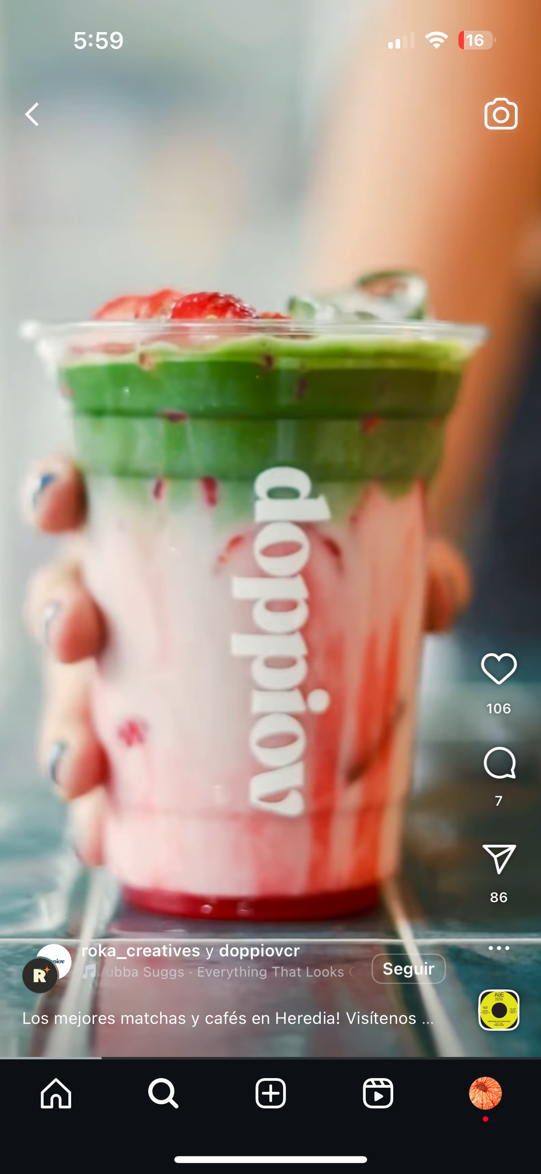 Te matcha