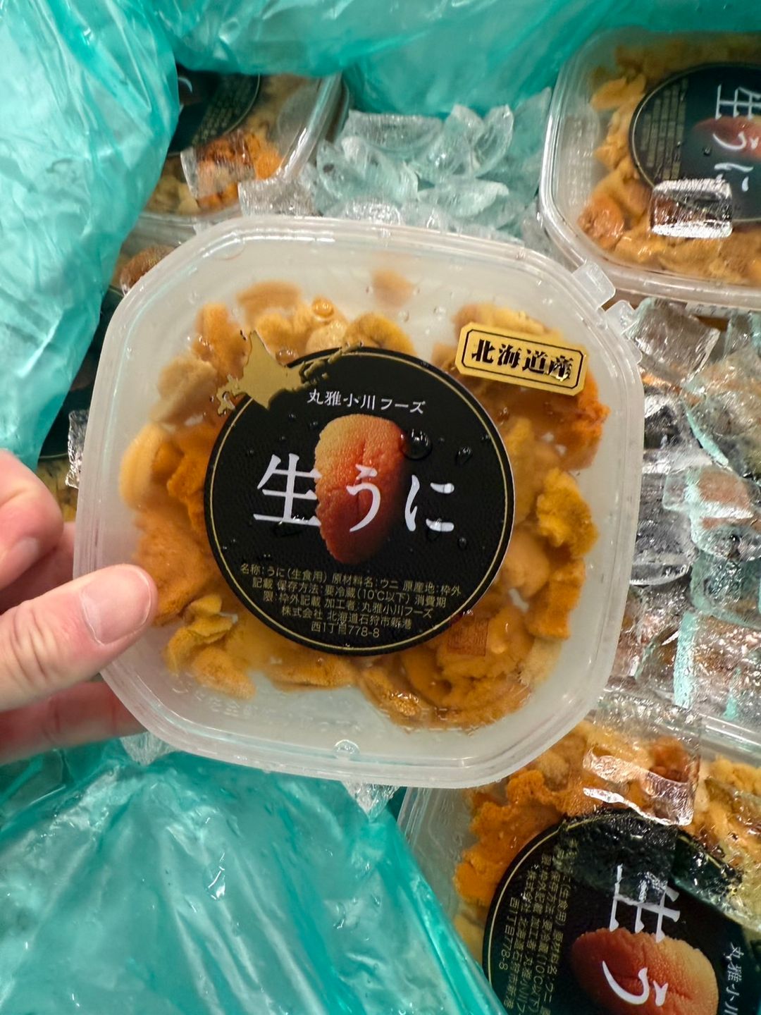 100g 'Hokkaido 北海道' Ensui Bafun Uni 