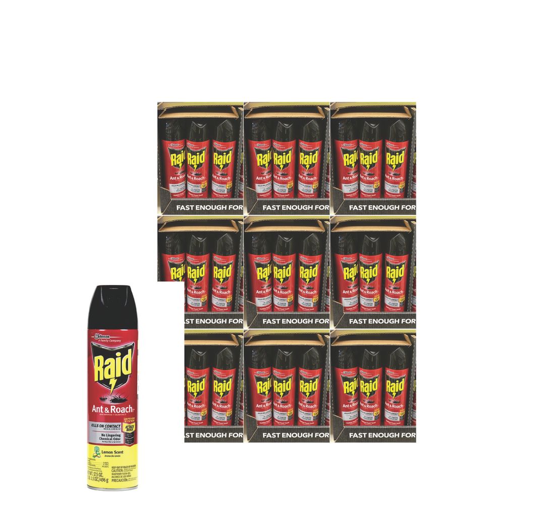 RAID INSECTICIDE SMALL