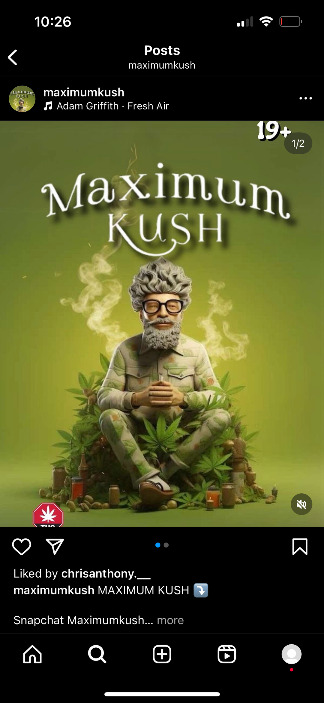 MAXIMUM MUSH QUARTER 