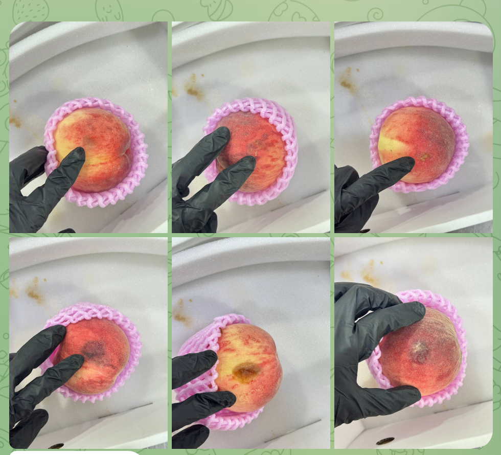 (INJURED PEACH) Daitōryō Premium 大糖領化粧箱桃 Peaches (1 Piece)