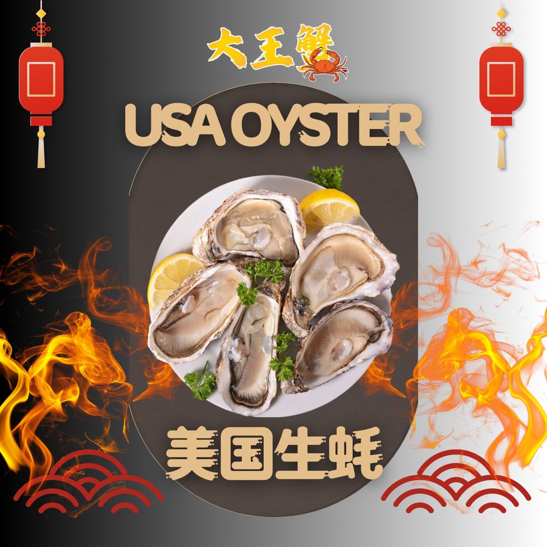 USA OYSTER