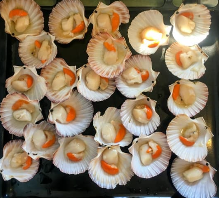 Half Shell Scallop (1kg)