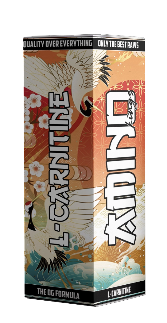 AMINO KINGS - L CARNITINE 