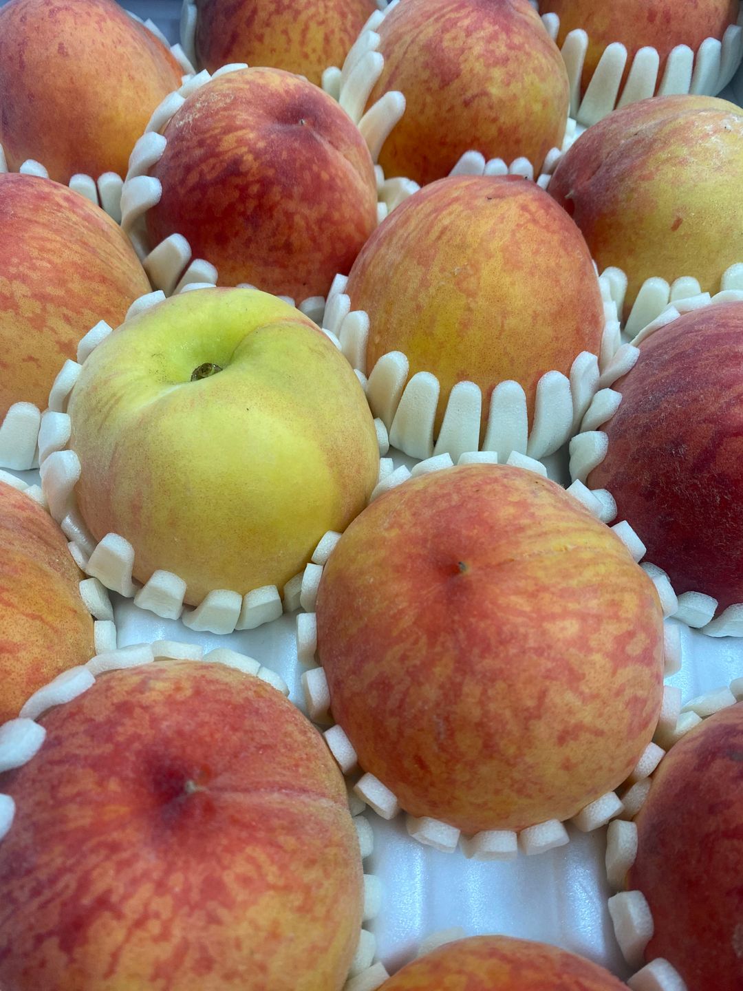Korean Yellow Peach