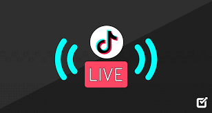 Tiktok live stream (100-500 vues)