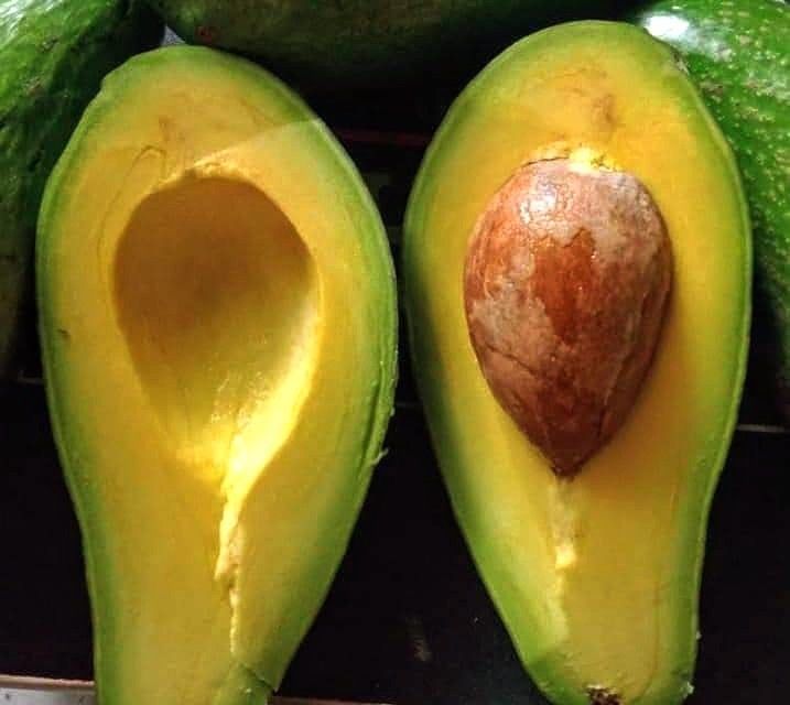 Aguacates Mantequilla