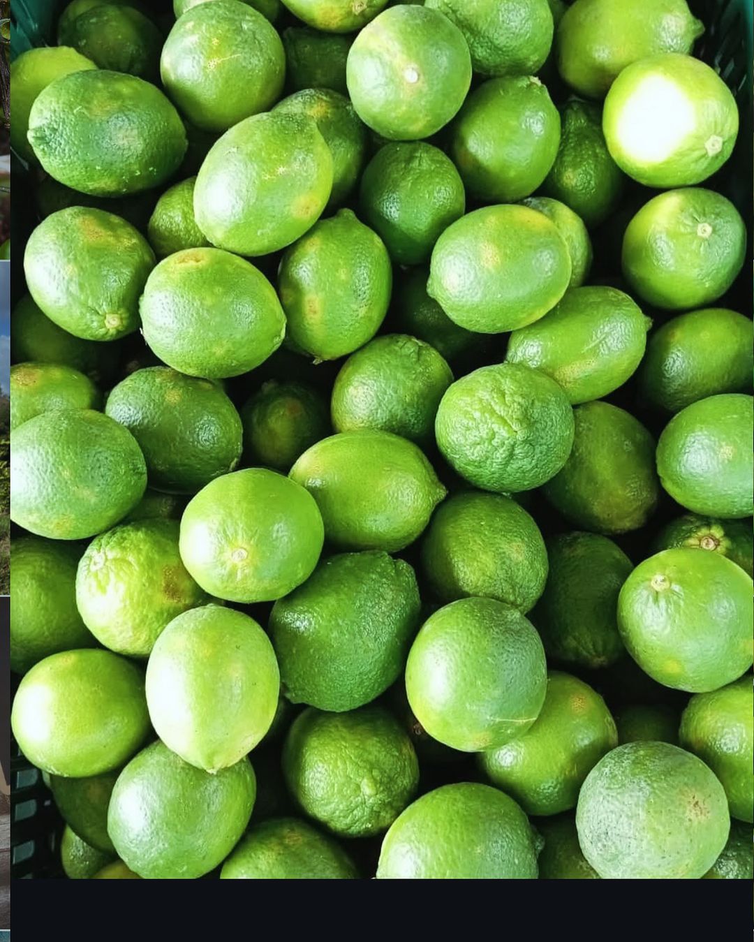 Limones Persa