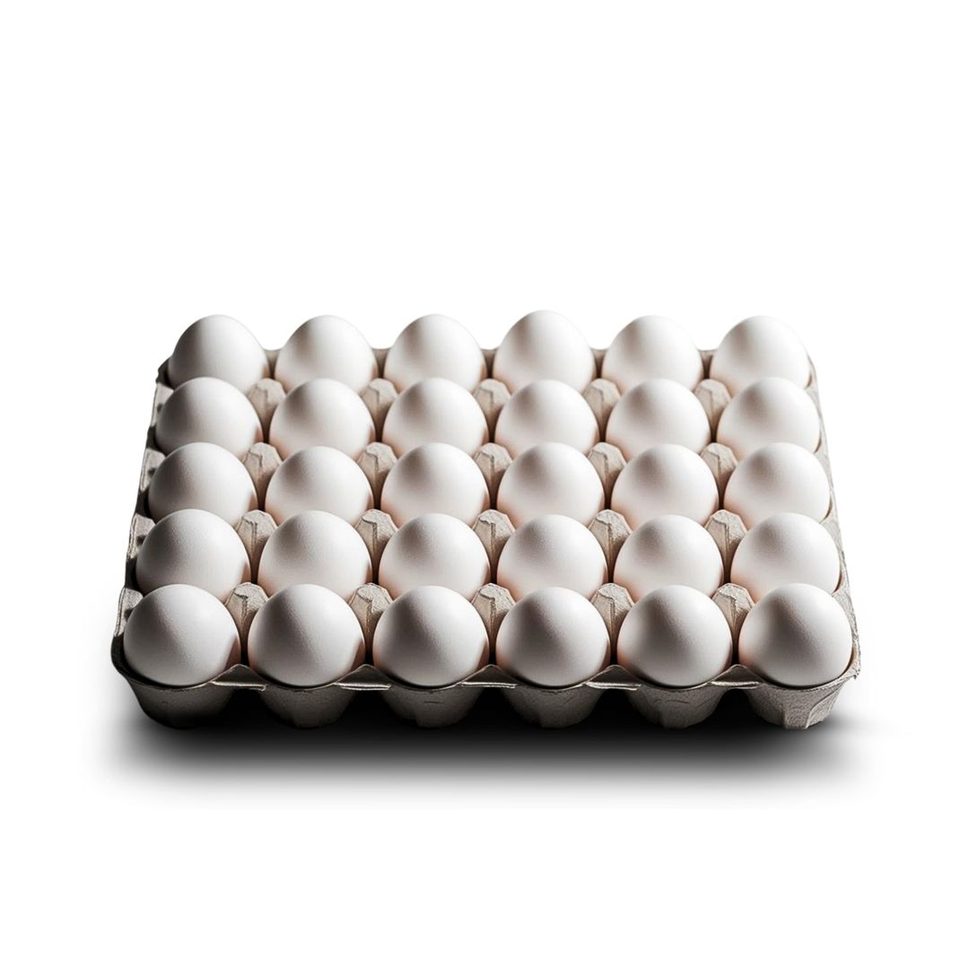 Special - 2x White Eggs (Tray of 30 eggs)