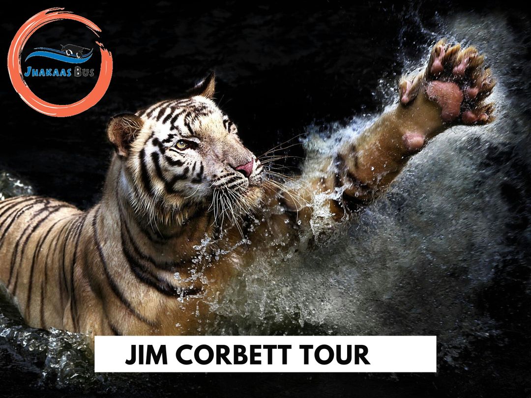 Jim Corbett Tour 