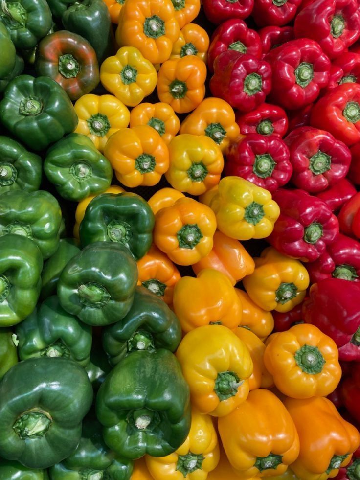Pimentones de Colores