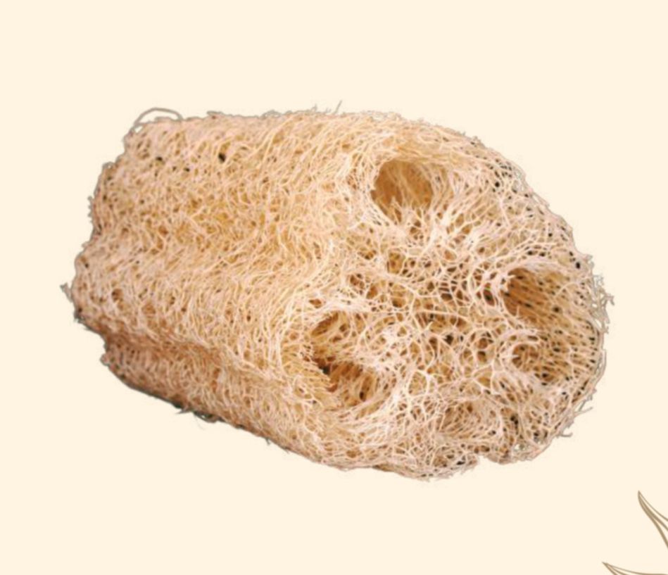 Lufa