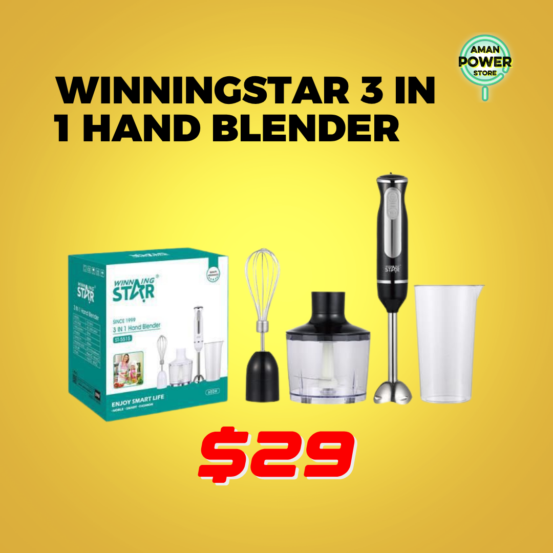 WINNINGSTAR 3 IN 1 HAND BLENDER ST-5515
