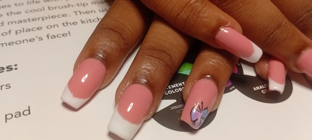 Butterfly Collection - Basic