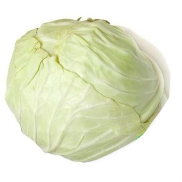 Organic round cabbage  1kg+-