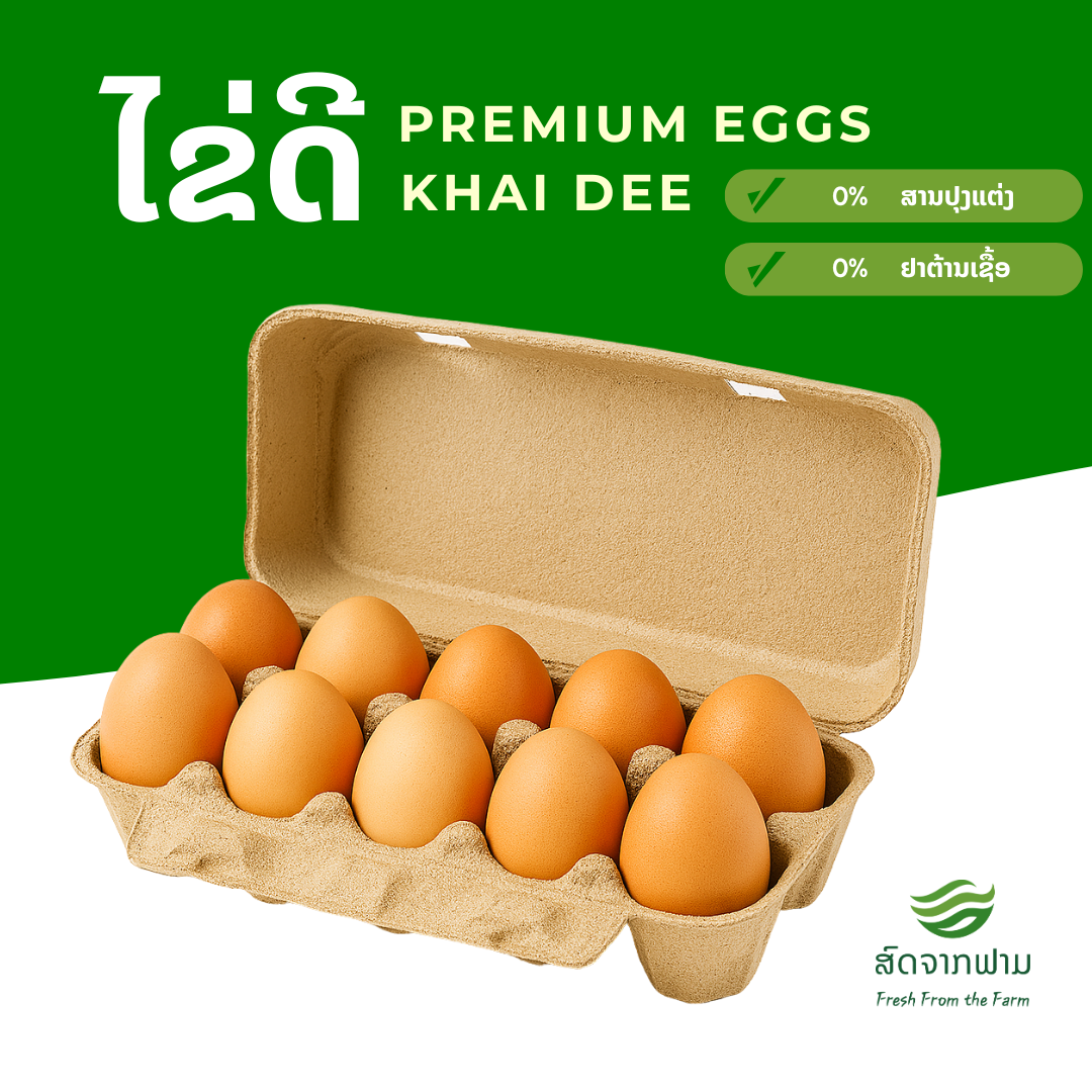 Premium Eggs 1box (10 eggs)