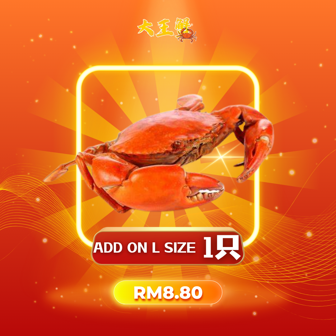 ADD ON L Size x 1 (KL & JB )