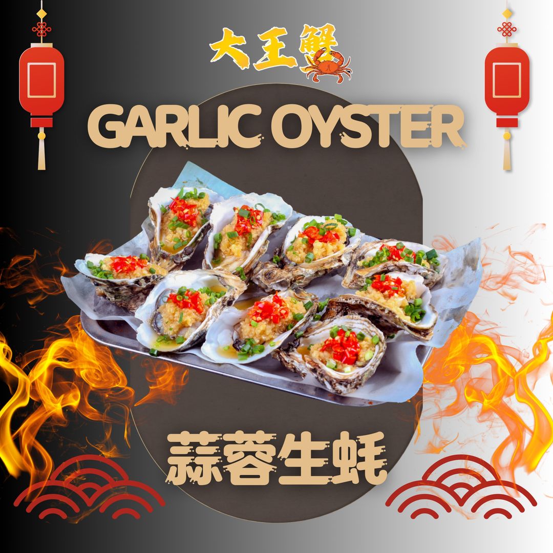 XL USA OYSTER 美国生蚝 