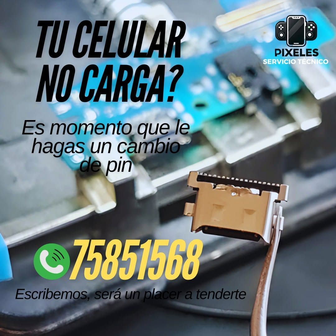 Problemas de Carga