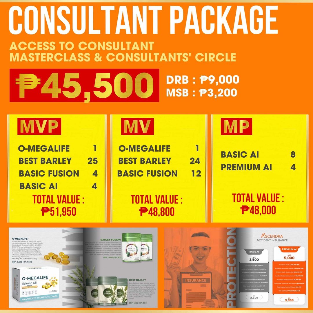 CONSULTANT PACKAGE