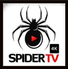 Spider Tv 1year 