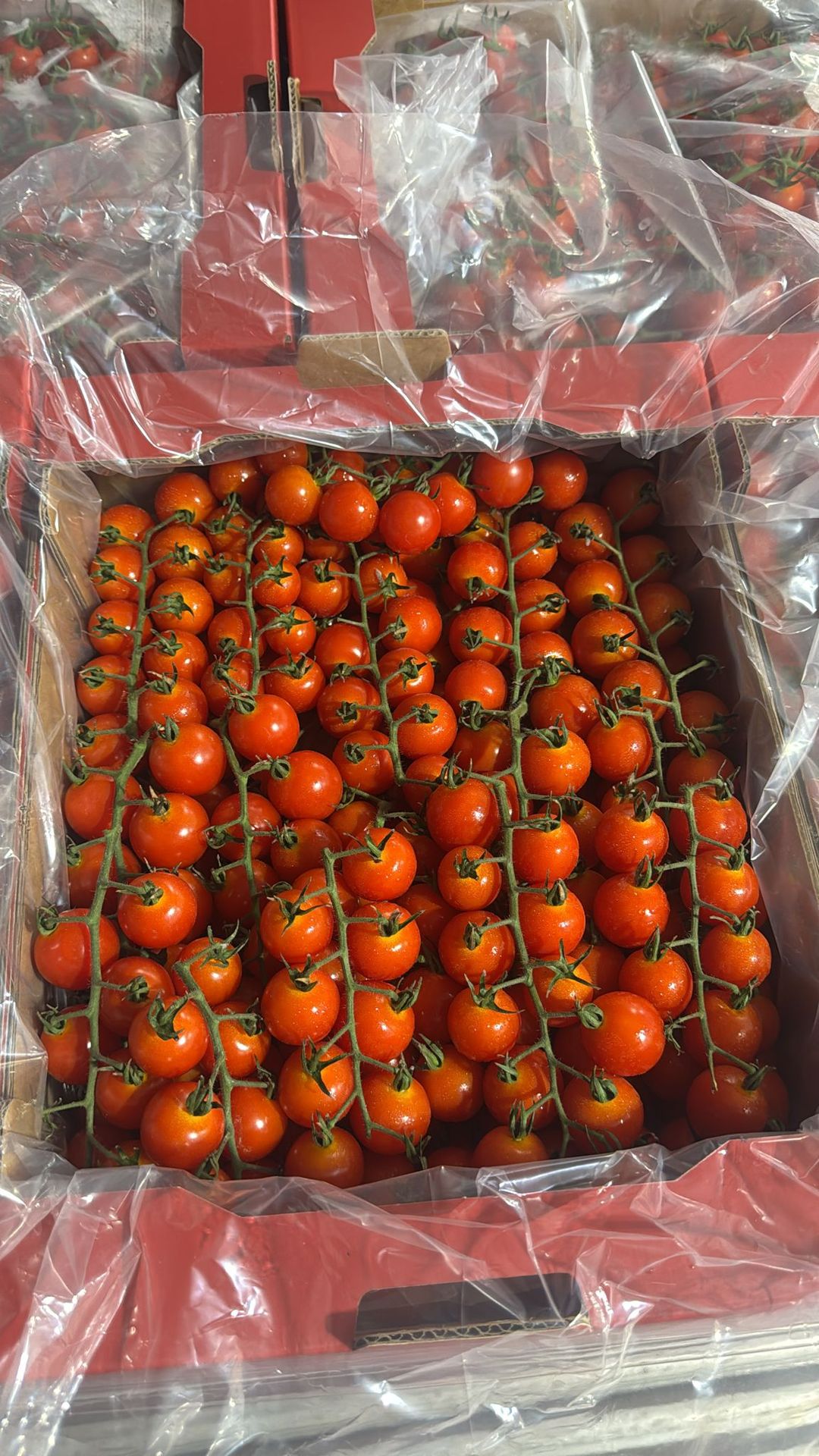 Cherry Tomatoes (500g)