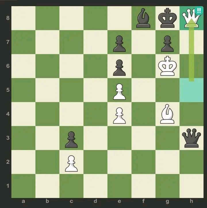Chess board