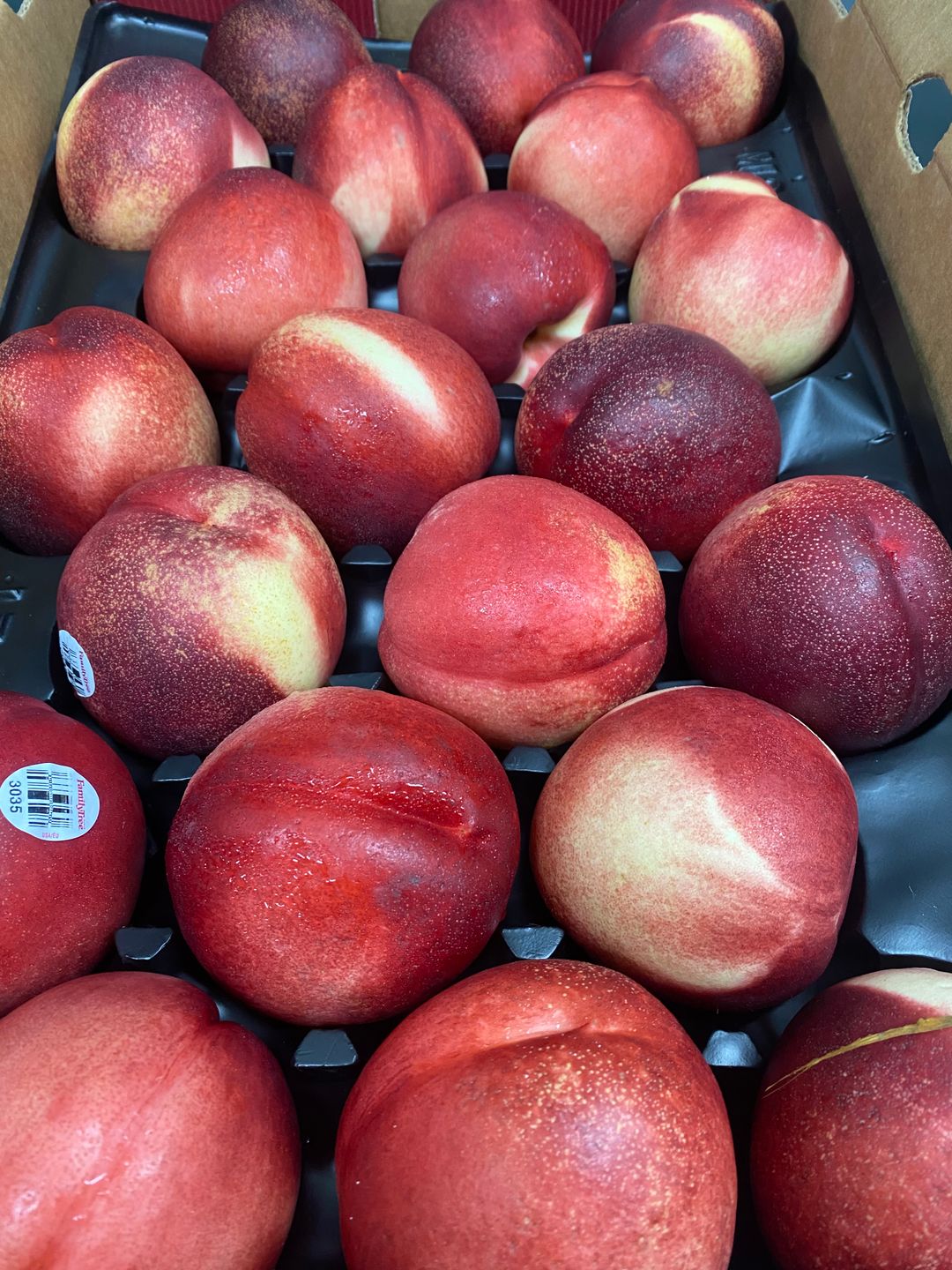USA Family Tree White Nectarine Large